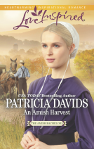book cover for An Amish Harvest
