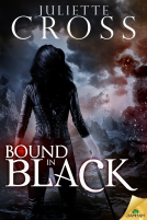 book cover for Bound in Black