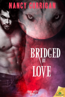 book cover for Bridged by Love