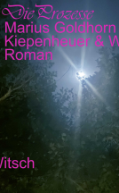 Buchcover für Die Prozesse