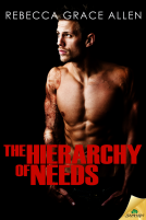 book cover for The Hierarchy of Needs