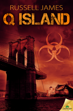 book cover for Q Island