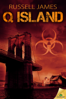 book cover for Q Island