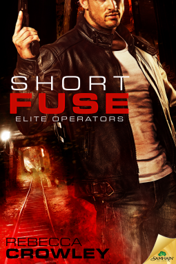 book cover for Short Fuse