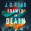 book cover for Framed in Death