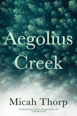 book cover for Aegolius Creek