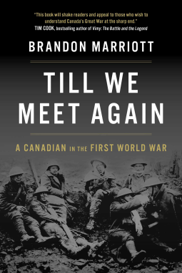 book cover for Till We Meet Again