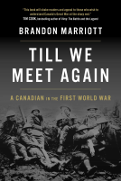 book cover for Till We Meet Again