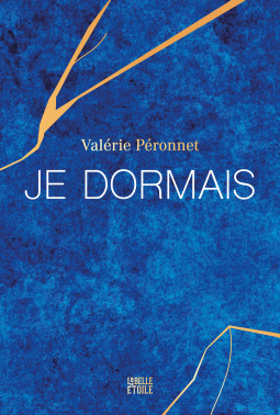 Couverture du livre pour Je dormais