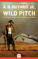 book cover for Wild Pitch