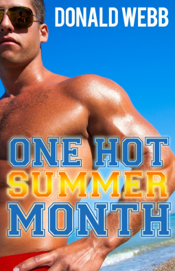 book cover for One Hot Summer Month