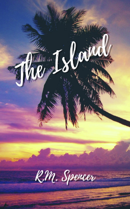 book cover for The Island