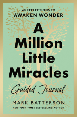 book cover for A Million Little Miracles Guided Journal