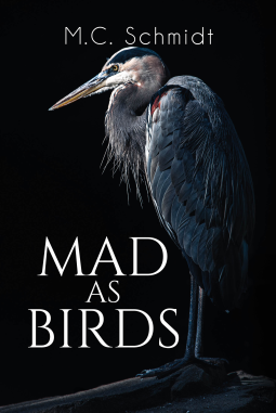 book cover for Mad as Birds