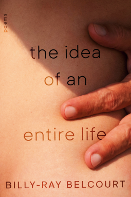 book cover for The Idea of An Entire Life