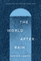 book cover for The World After Rain