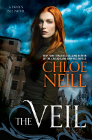 book cover for The Veil