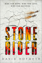 book cover for Stone Rider