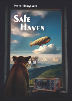 book cover for Safe Haven
