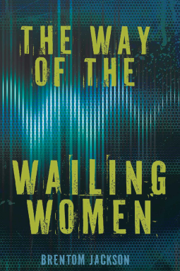 book cover for The Way of the Wailing Women