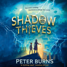 book cover for Shadow Thieves