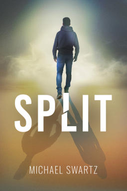 book cover for Split
