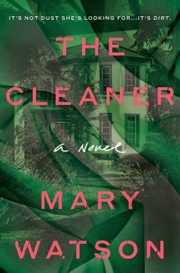 book cover for The Cleaner