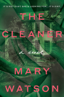 book cover for The Cleaner