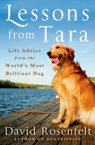 book cover for Lessons from Tara