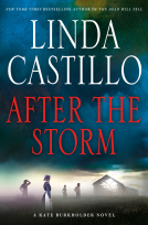 book cover for After the Storm