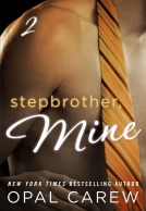 book cover for Stepbrother, Mine #2