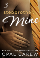 book cover for Stepbrother, Mine #3