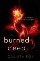 book cover for Burned Deep