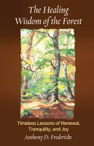 book cover for The Healing Wisdom of the Forest 