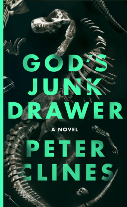 book cover for God's Junk Drawer