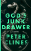 Cover Image: God's Junk Drawer