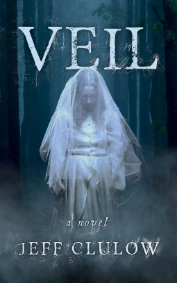book cover for Veil