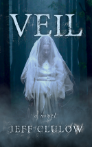 book cover for Veil