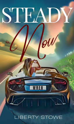 book cover for Steady Now