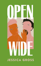 book cover for Open Wide