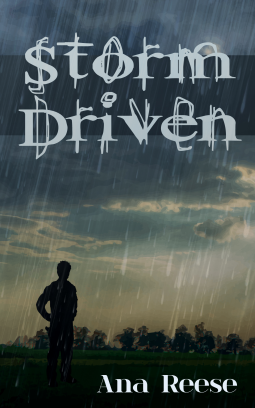 book cover for Storm Driven