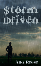 book cover for Storm Driven