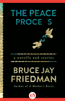 book cover for The Peace Process