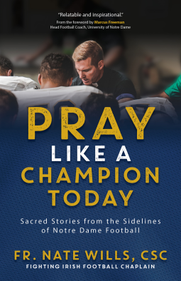 book cover for Pray Like a Champion Today