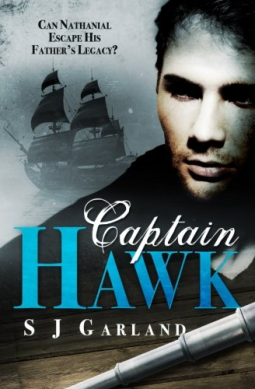 book cover for Captain Hawk