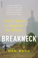 book cover for Breakneck