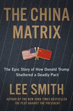 book cover for The China Matrix