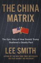 book cover for The China Matrix