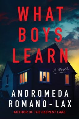 book cover for What Boys Learn