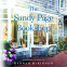 Cover Image: The Sandy Page Bookshop